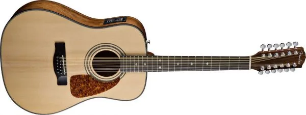 12 snarige western gitaar
