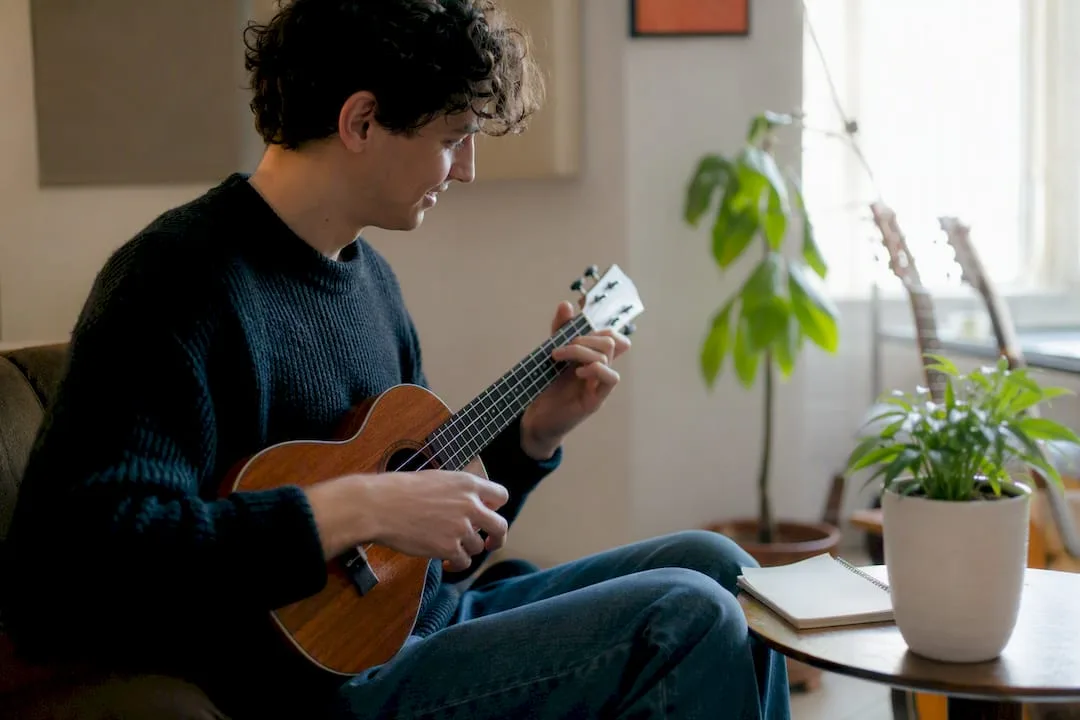 Ukelele liedjes beginners hero
