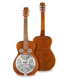 Dobro gitaar kopen