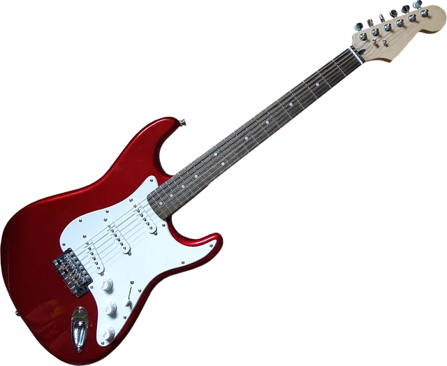 Elektrische Gitaar