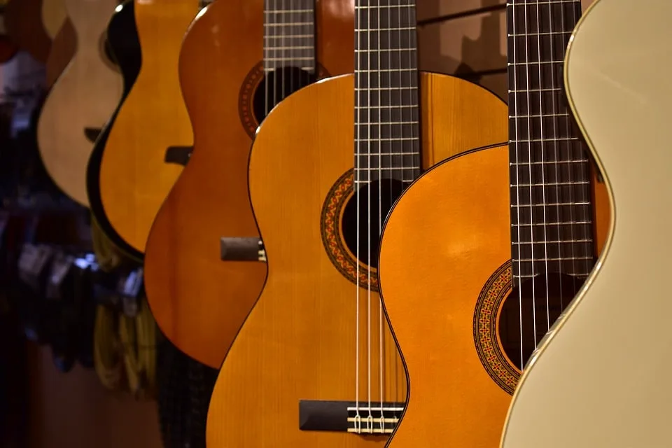 Beginners gitaar Beginners gitaar