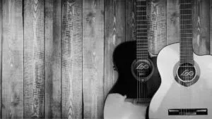 Gitaar houtsoort