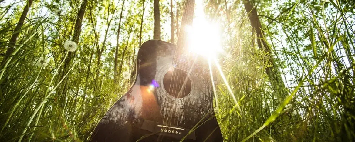 Gitaar onderhoud