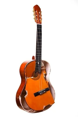 Gitaar reparatie