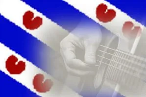 Gitaarles Friesland Gitaarles Friesland