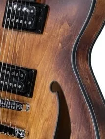 hollow body elektrische gitaar