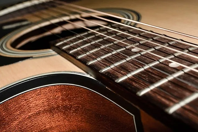 Leve de gitaar