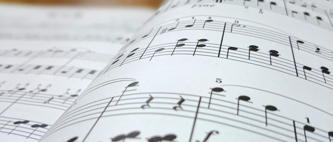 Online muzieklessen voor iedereen. Jong en oud!