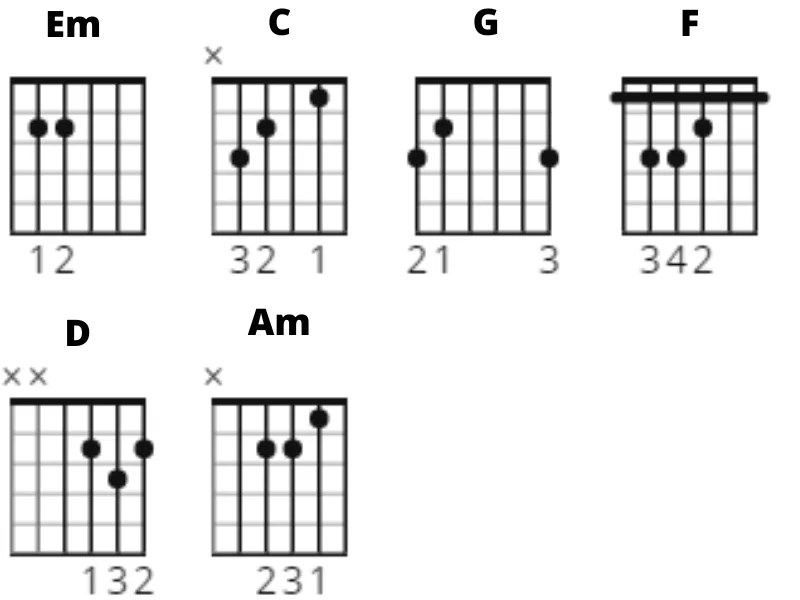 Racoon Oceaan chords racoon, oceaan, chords, gitaarakkoorden