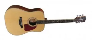 Richwood gitaar Master Series