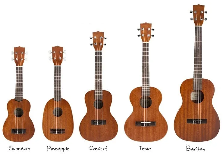 Soorten ukeleles