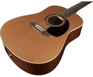 Steelstringgitaar bovenblad