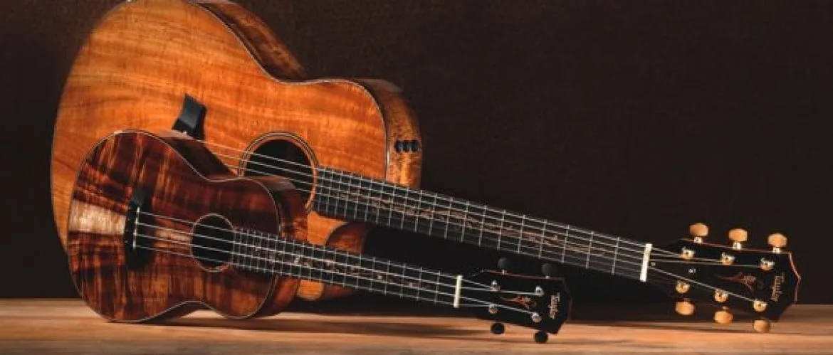Ukelele gitaar