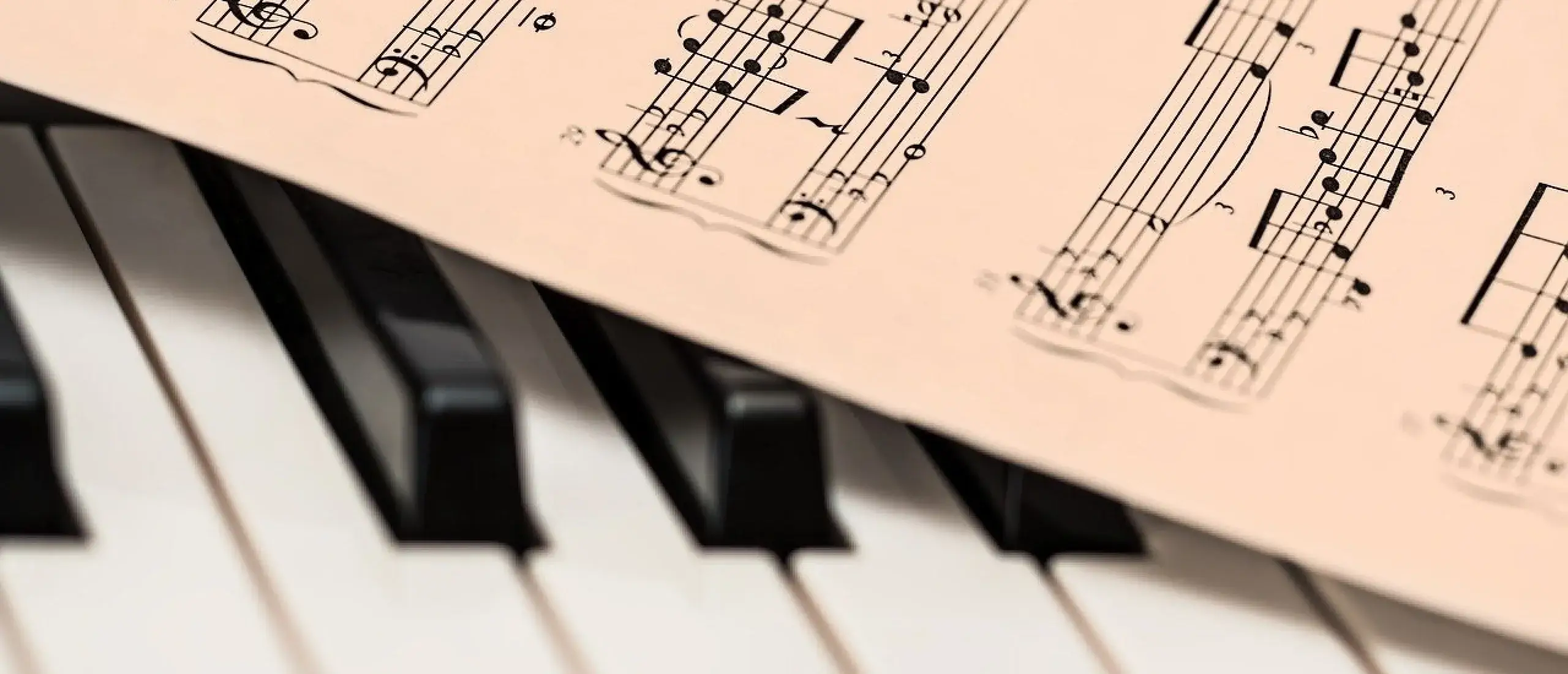Als achtergrondmuzikant aan de slag
