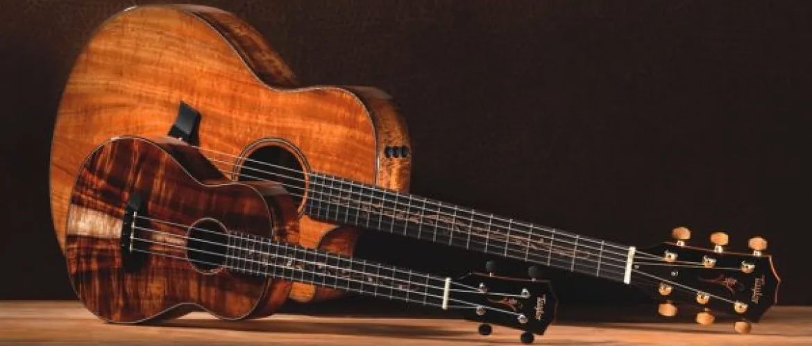 Leg je gitaar techniek werkboek aan de kant en kom bij de Online Muziek Academie